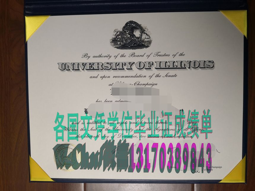 一比一仿伊利诺伊大学毕业证