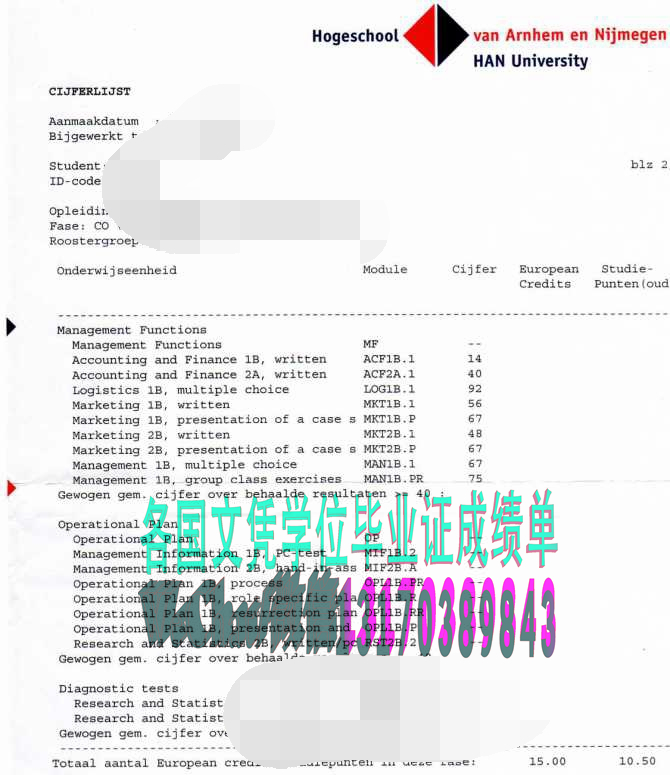 一比一仿荷兰内梅亨大学学位证书