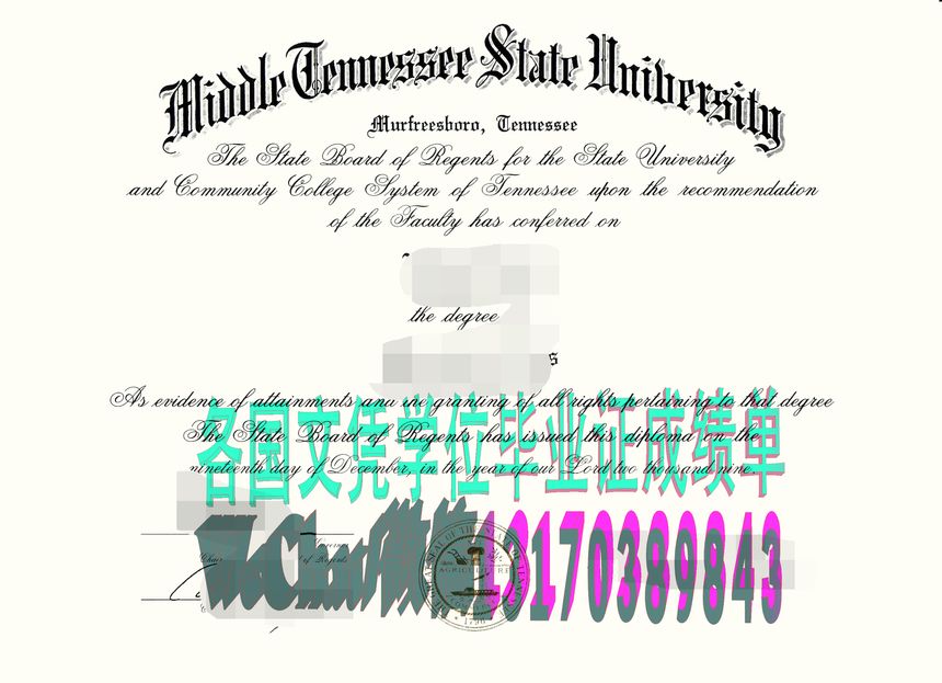 伪造中田纳西州立大学文凭