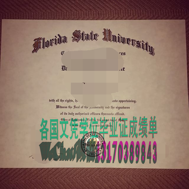 伪造佛罗里达州立大学文凭