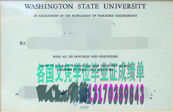 怎么买假的华盛顿州立大学文凭