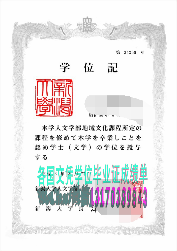 怎么买到日本新潟大学学位证书