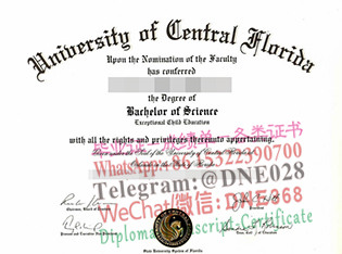 美国中英弗罗里达大学毕业证样本
